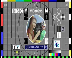 16:9 Anamorphic Test Card Source